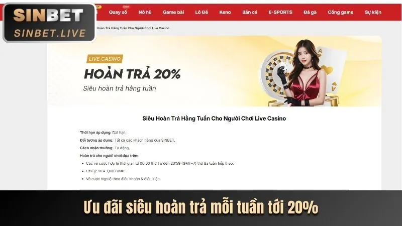 Phân Tích Khuyến Mãi 2024 Thabet